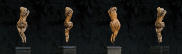 "torso parra",full view, woodcollection, escultura de madera by Hans Some, 2015